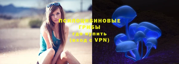 MDMA Premium VHQ Михайловка