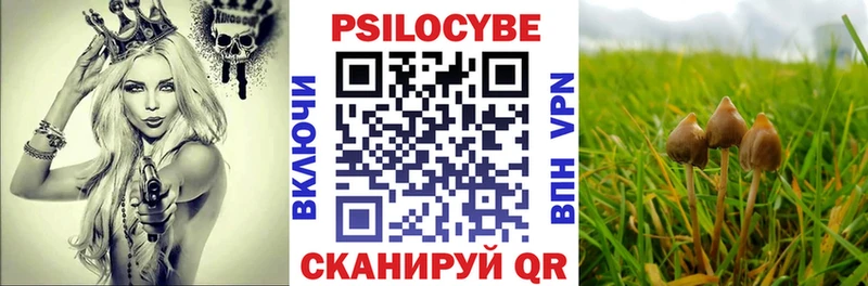 Галлюциногенные грибы прущие грибы  Купить закладки  Североморск 
